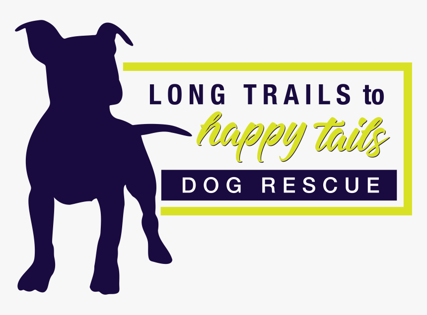 Longtrailshappytails - Com - Dog Catches Something, HD Png Download