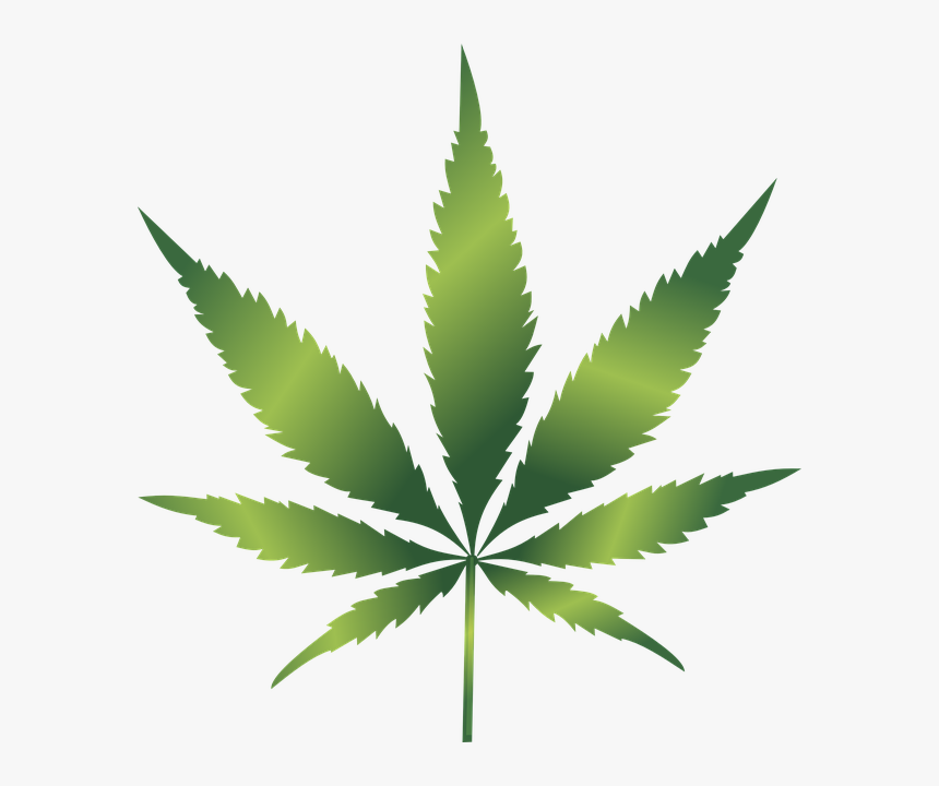 Free Cannabis, HD Png Download