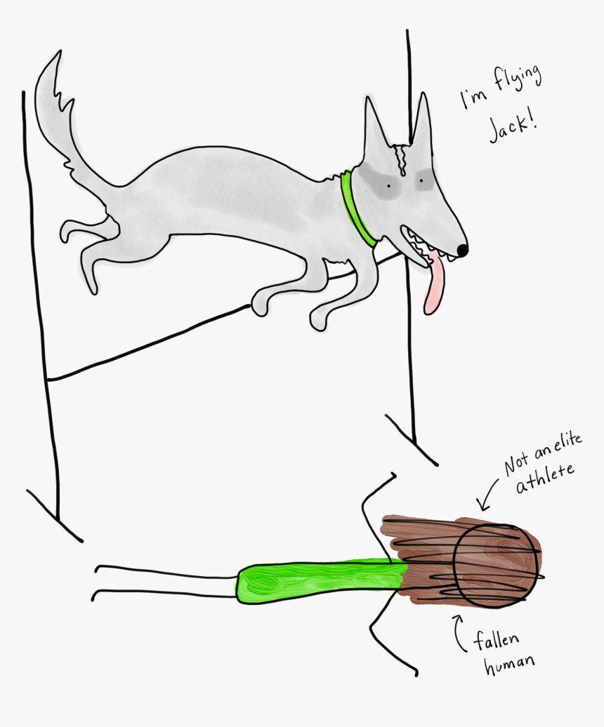 Yeah We’re Into Sports, HD Png Download