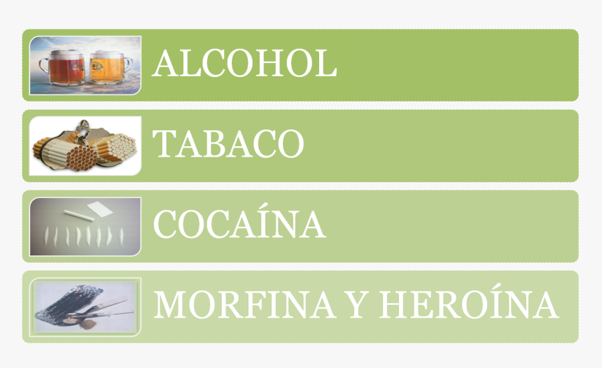 Insect, HD Png Download