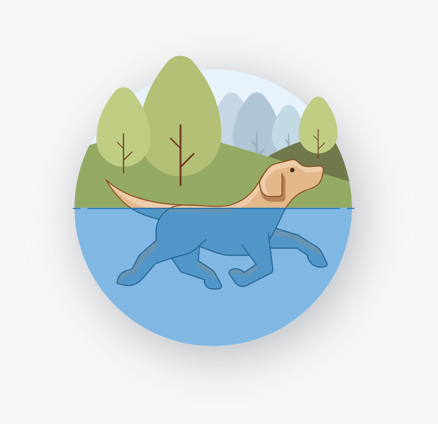 Cartoon, HD Png Download