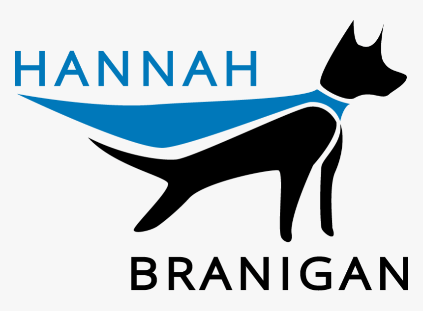 Hannah Branigan Wonderpups Training - Dog Catches Something, HD Png Download