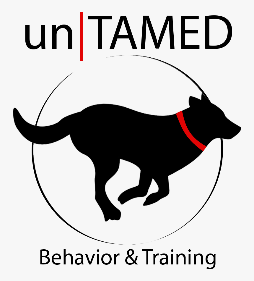 Untamed2trans - Dog Catches Something, HD Png Download