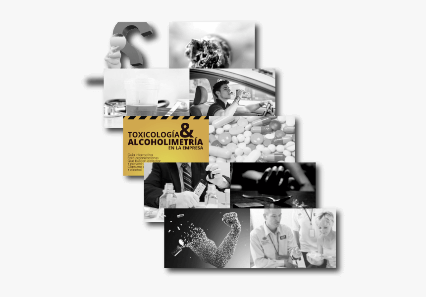 Los 10 Mejores Artículos De Antidoping En Las Empresas - Collage, HD Png Download