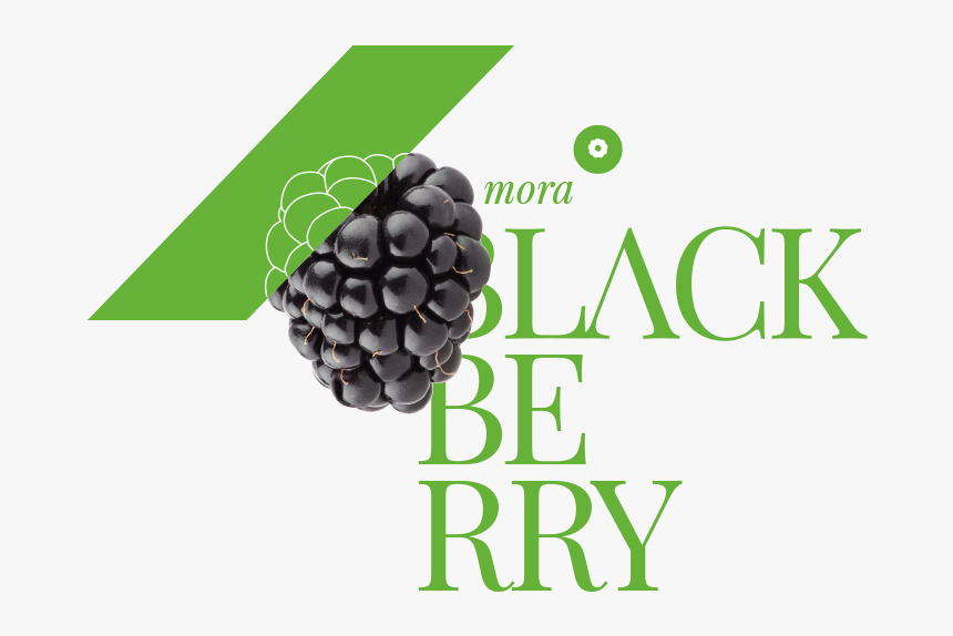 Mora Canastita, HD Png Download