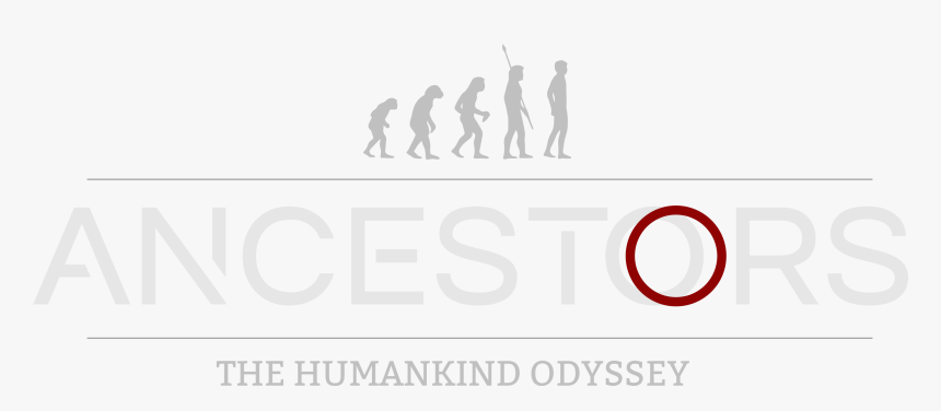 Graphic Design, HD Png Download