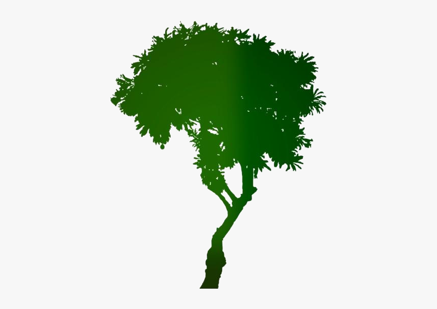 Colorful Mango Tree Png - Mango Tree Png Hd, Transparent Png