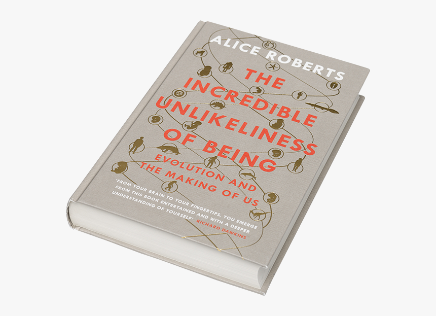 The Incredible Unlikeliness Of Being - Metal, HD Png Download