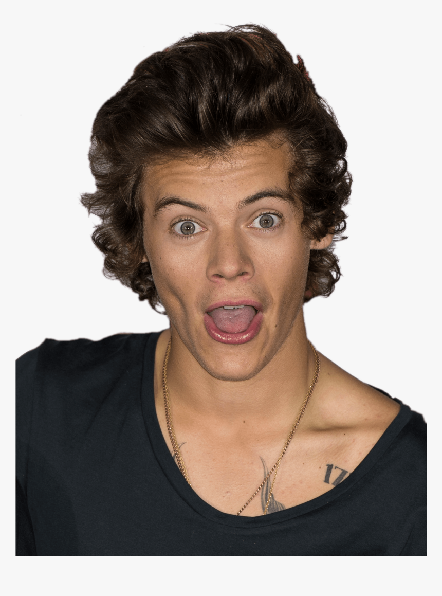 Funny Face Png - Harry Styles, Transparent Png