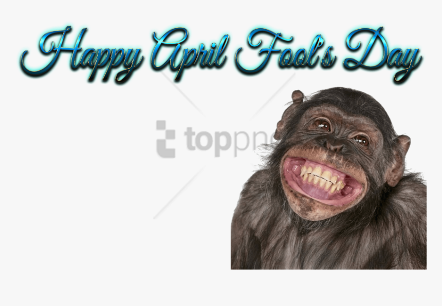 Funny Mouth Png - Happy Birthday To You Funny, Transparent Png