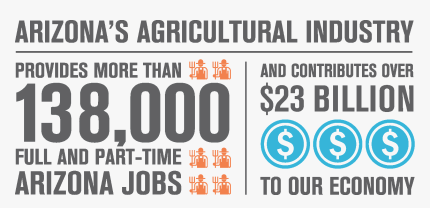 Transparent Water - Einstien, HD Png Download