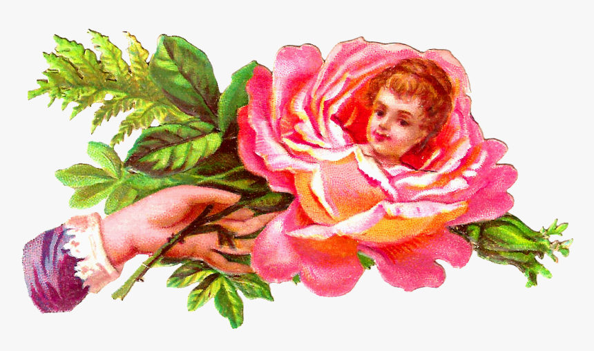 Rose With Face In Middle, HD Png Download