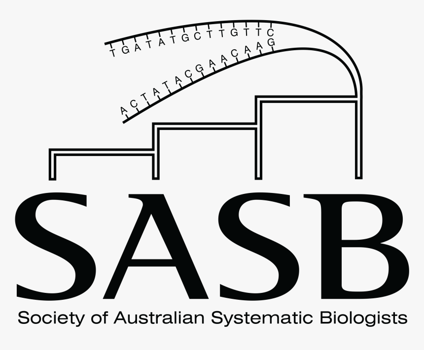 Agencia De Viagens, HD Png Download