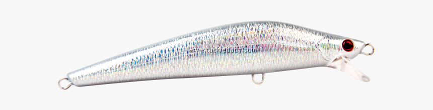 Sauries, HD Png Download