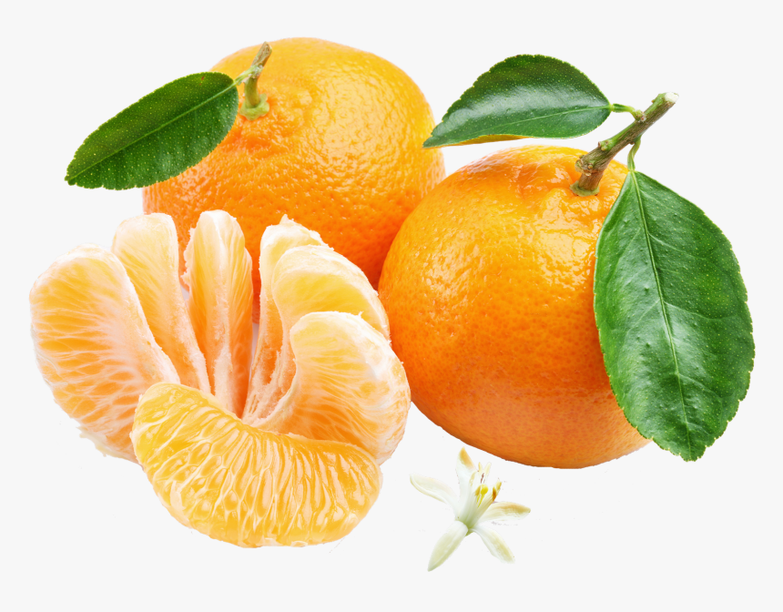 Orange Mandarin Png , Transparent Cartoons - Orange Mandarin Png, Png Download