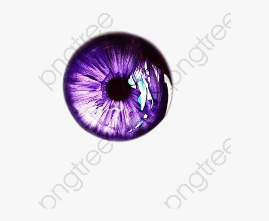 Glasses Purple Vector - Iris Drawing Eye, HD Png Download