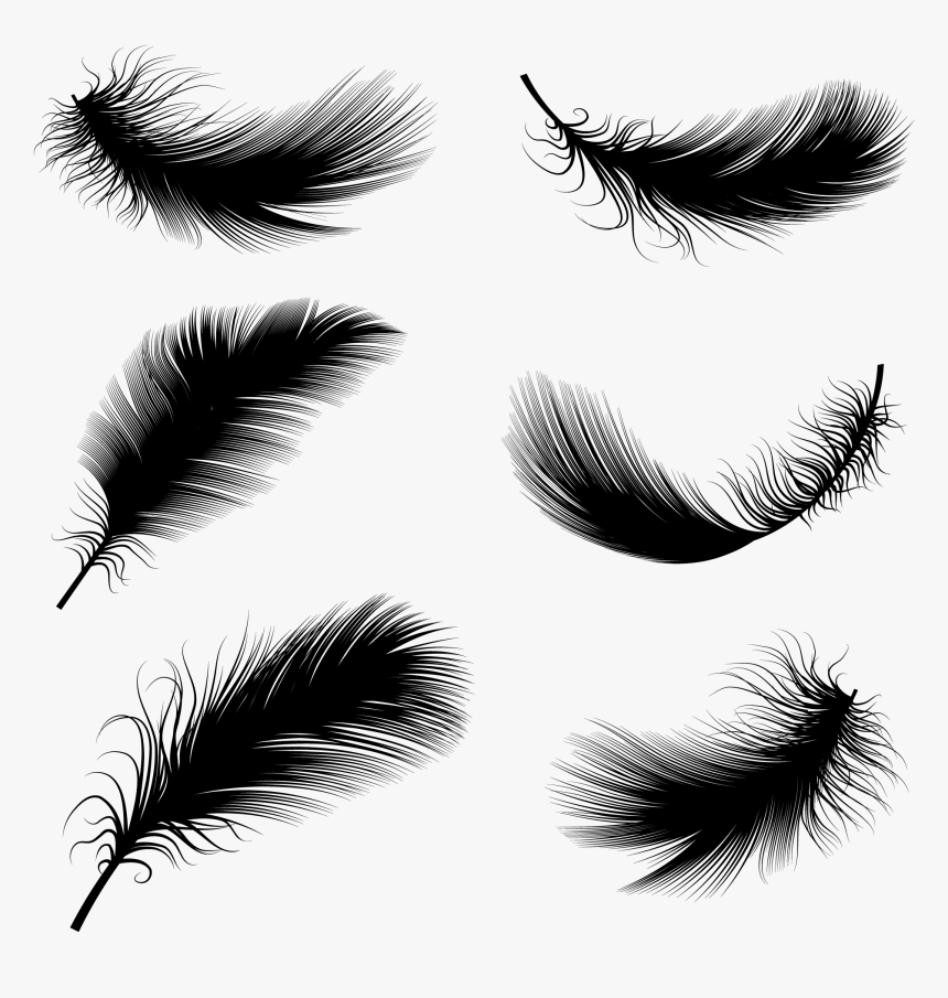 Drawn Eyelash Button Eye - Black Feathers Vector, HD Png Download