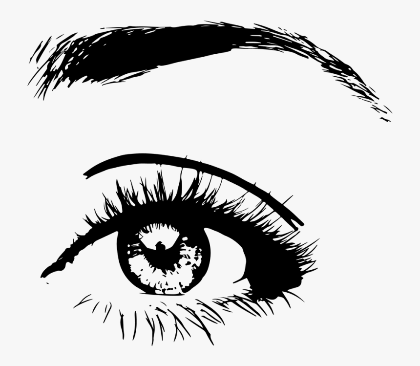 Transparent Eye Brows Png - Глаз С Ресницами Пнг, Png Download