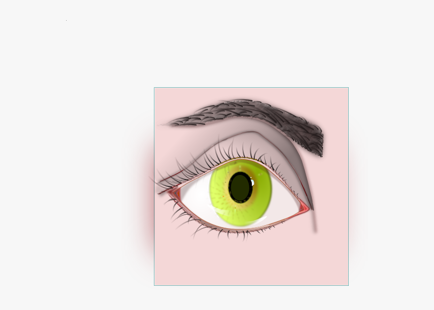 Transparent Eyelash Vector Png - Sketch, Png Download