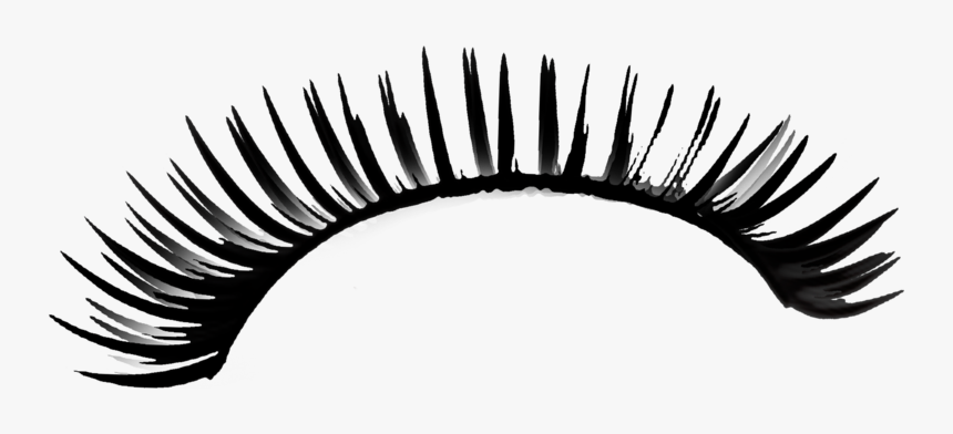 Eyelashes Png Transparent - Transparent Background Eyelash Clip Art, Png Download