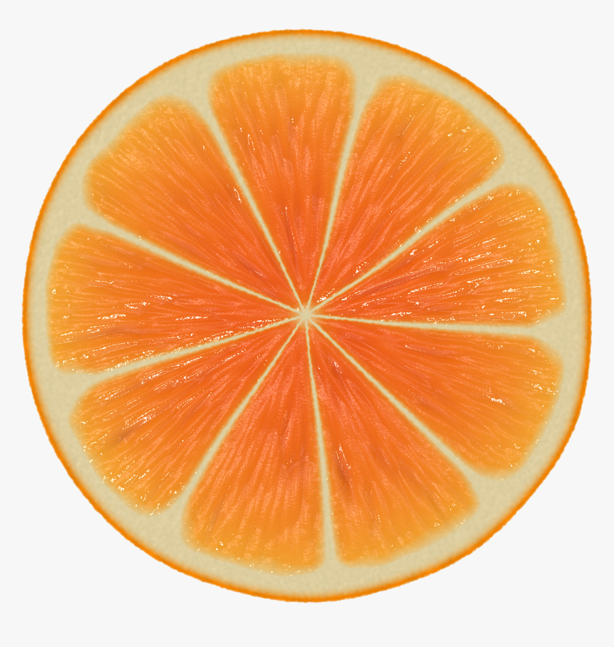 Orange,citric Acid,valencia - Half Cut Orange, HD Png Download