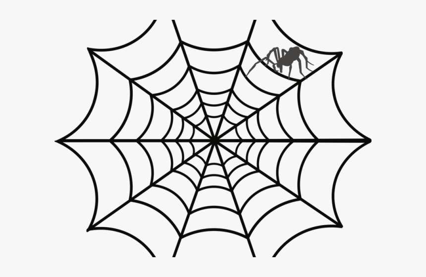 Drawn Spider Funnel Web - Spider Web Clipart, HD Png Download