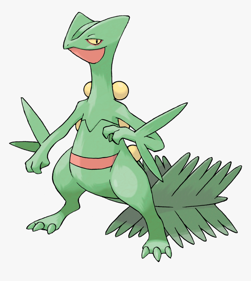 Sceptile - Pokemon Sceptile, HD Png Download
