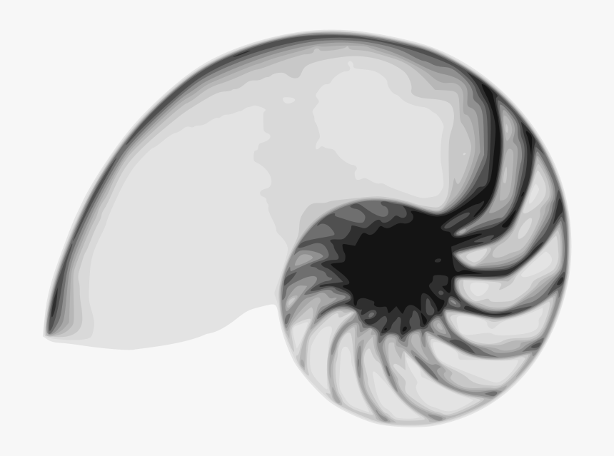 Free Vector Nautilus - Nautilus Free, HD Png Download