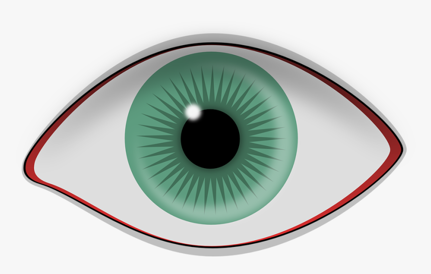 Eye, Pupil, Iris, Retina, Human, Vision, View, Close-up - Optometria, HD Png Download