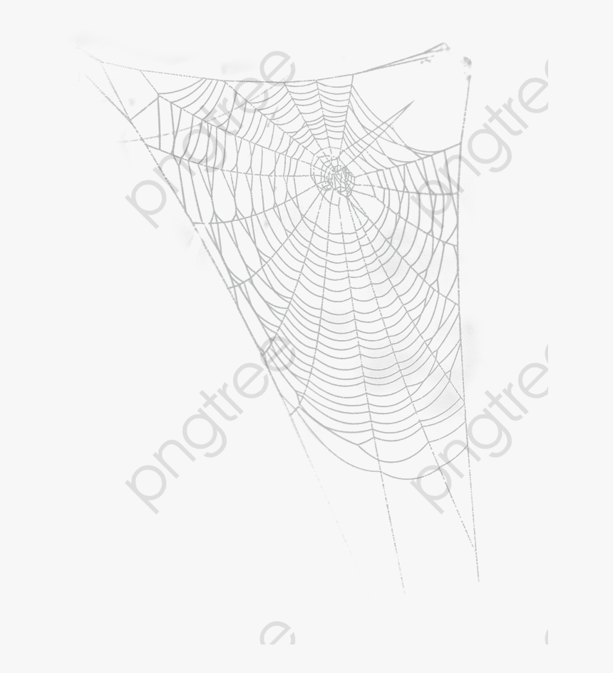 Halloween Clipart Spider Web - Spider Web, HD Png Download