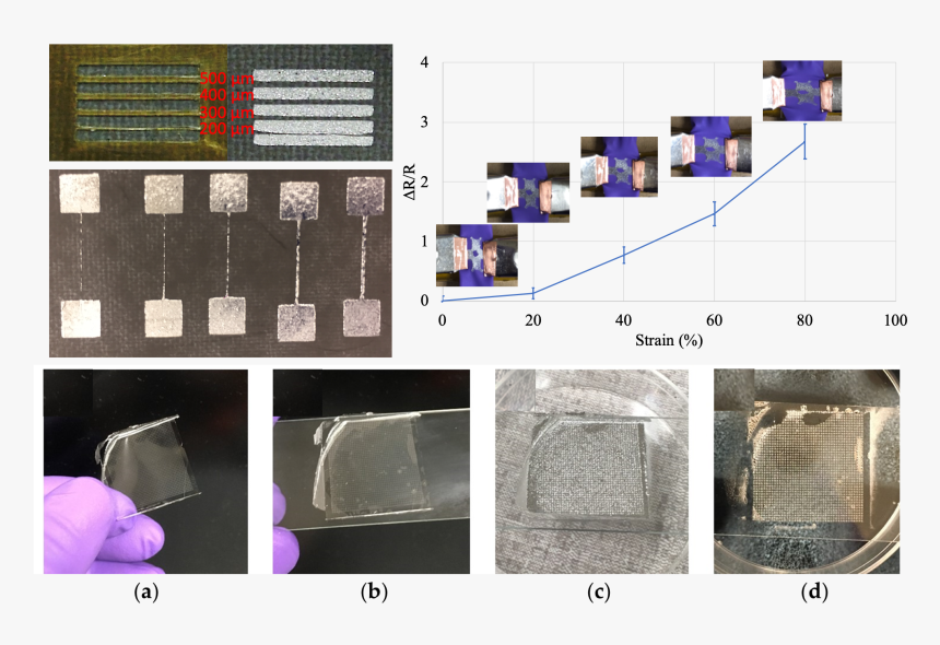 Floor, HD Png Download