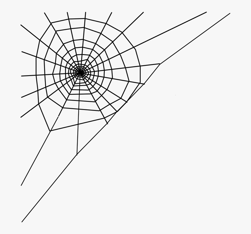 Spider Web Clipart Transparent Background - Cob Web Clip Art, HD Png Download