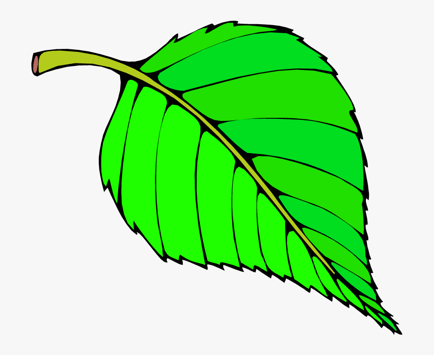 Tree Clipart Leaf - Hungry Caterpillar Green Leaf, HD Png Download