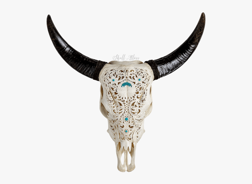Cow Skull Tribal Cattle Xl Horns - Horn, HD Png Download