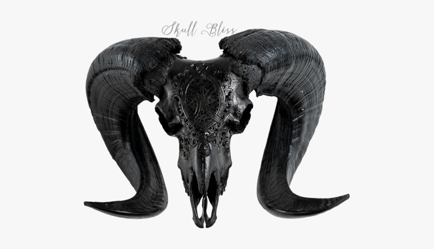 Carved Ram Skull - Horn, HD Png Download