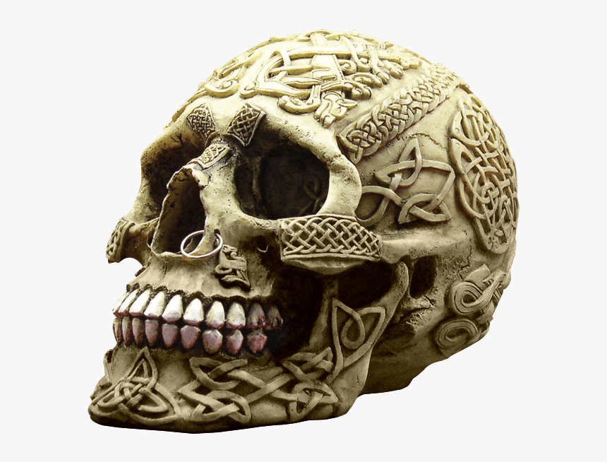 Pierced Celtic Tribal Skull - Nose On A Skull, HD Png Download