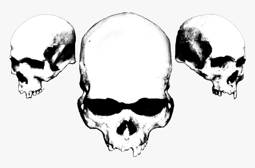 Black And White Skulls, HD Png Download