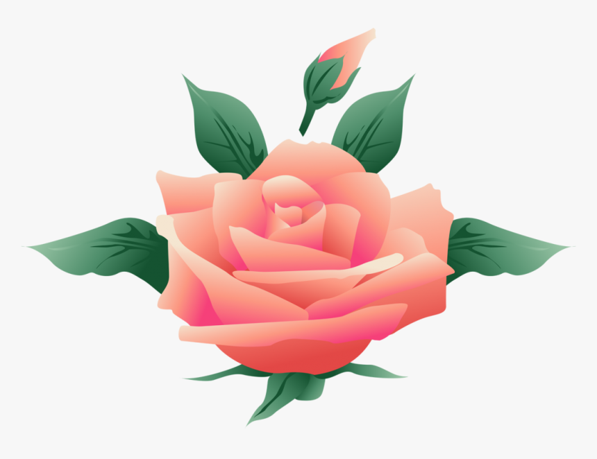 Free Floral Vector Art, HD Png Download
