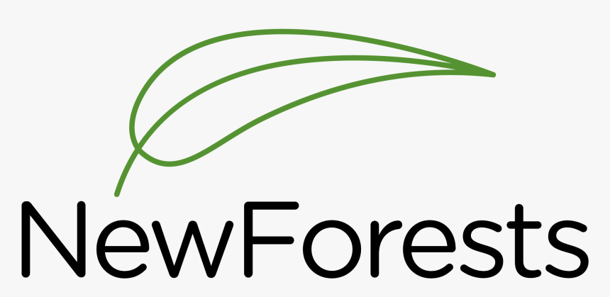 The Forest Logo Png, Transparent Png