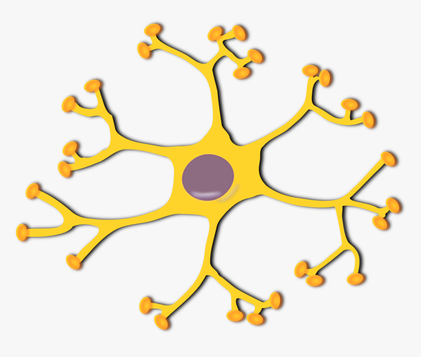 Symmetry,area,body Jewelry, HD Png Download