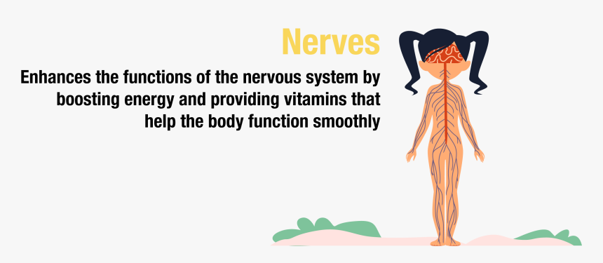 Illustration, HD Png Download