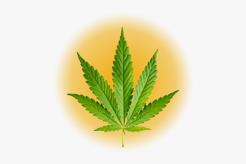 Weed Symbol Png, Transparent Png