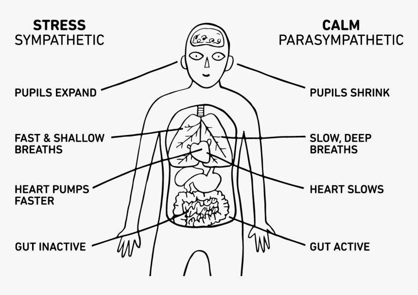 Download-1, HD Png Download