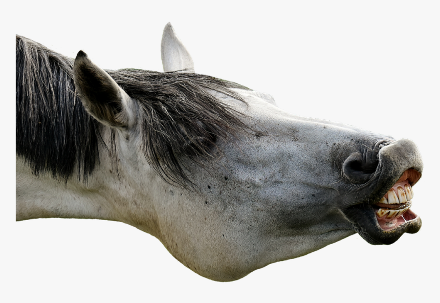 Transparent Poker Face Png, Png Download