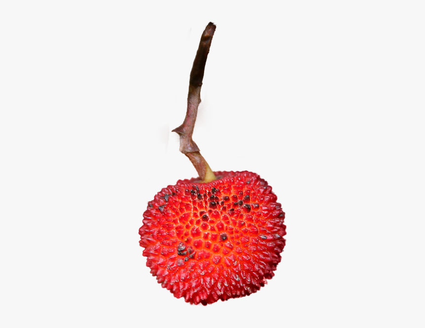 Strawberry, Isolated, Png, Fruit, Eat, Nature, Close, Transparent Png