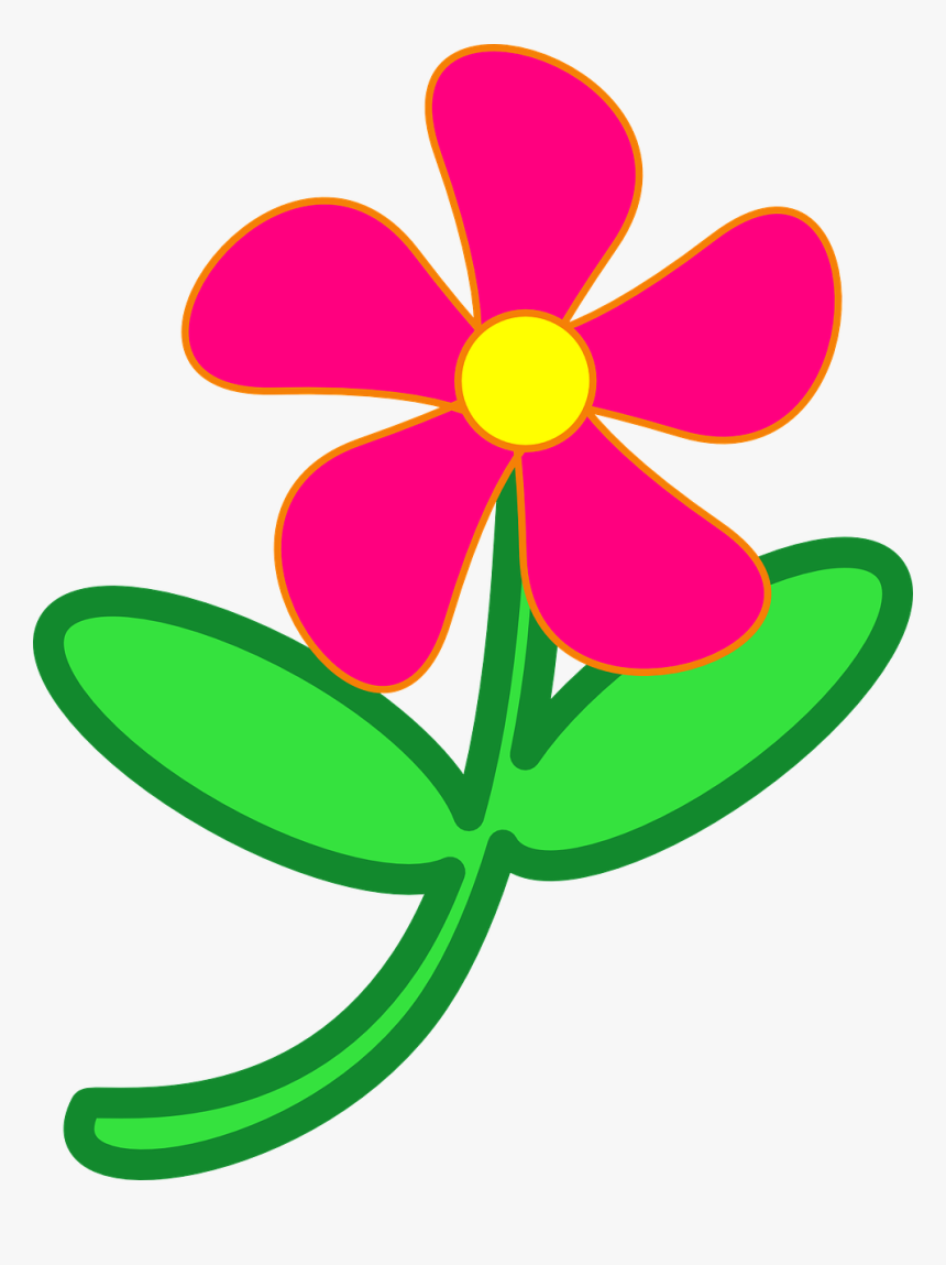 Flower, Pink, Daisy, Garden, Nature, Summer, Flora, HD Png Download