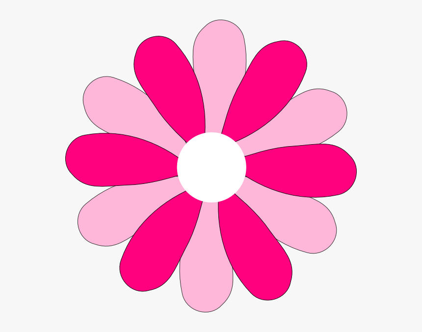 Transparent Daisy Clip Art, HD Png Download