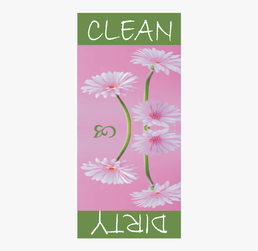 Pink Daisy Png, Transparent Png