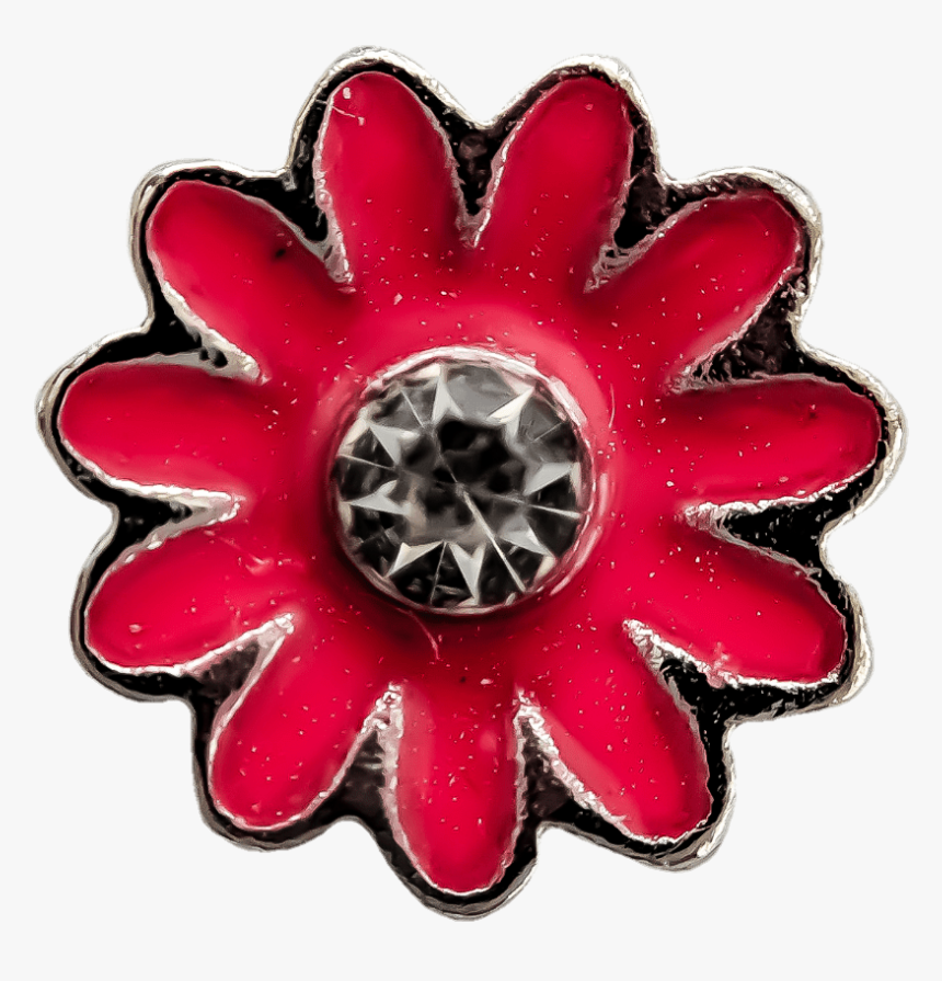 Pink Daisy Png, Transparent Png