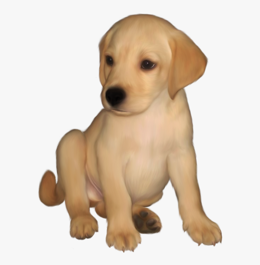 Golden Retriever Puppy Png, Transparent Png